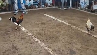 Win