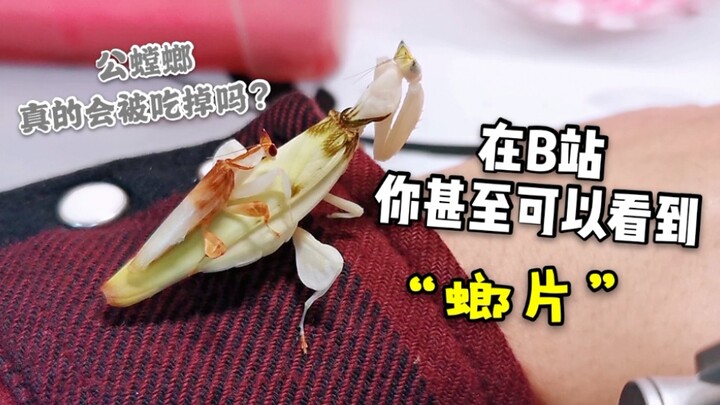 Hai người các ngươi竟… ngay trước mặt ta… lại làm ra chuyện trơ tráo đến thế!