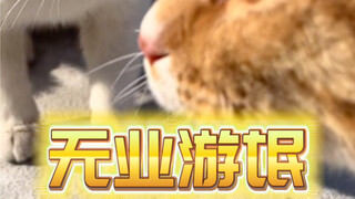 هيا! بيكاتشو! أنا أثق بك～