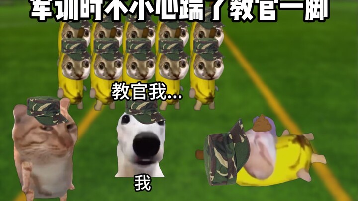 军训时不小心踹了教官一脚
