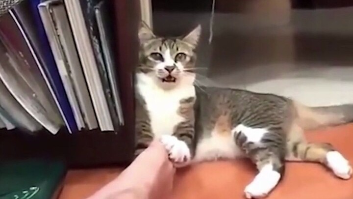 Cuối cùng cũng được ra ngoài rồi