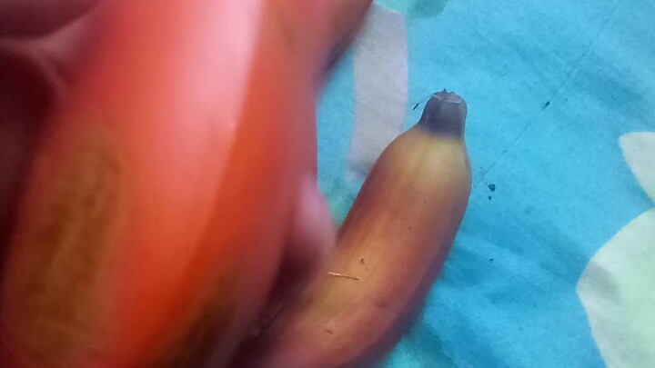 কলার রং লাল।
