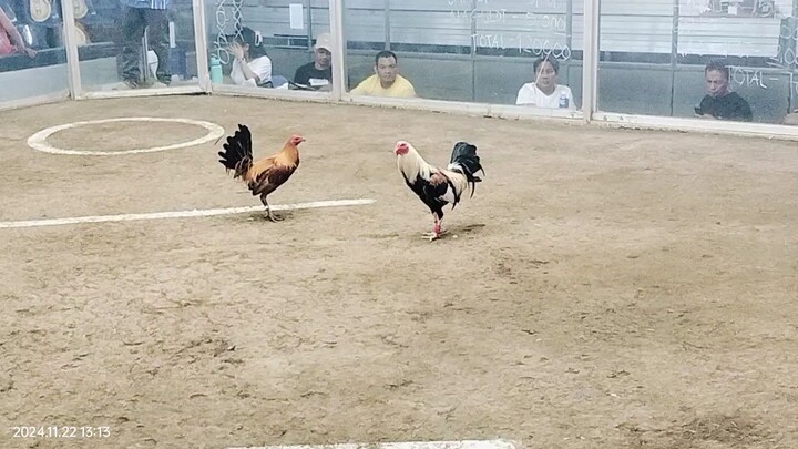 3hit ulotan 2nd fight win'talisayin..