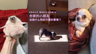 你家的小朋友会做什么特别可爱的事情？