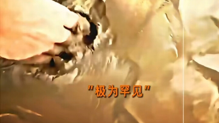 Akhir yang tak terduga… hehe