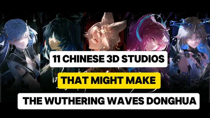 11 Chinese 3D Studios That Might Make the WuWa Donghua