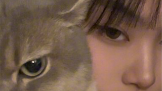 تعلّم من قطتي