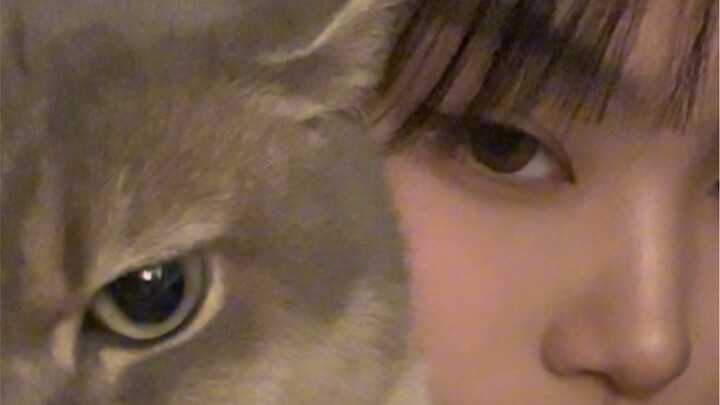 มาเรียนรู้แมวของครอบครัวฉันกันเถอะ