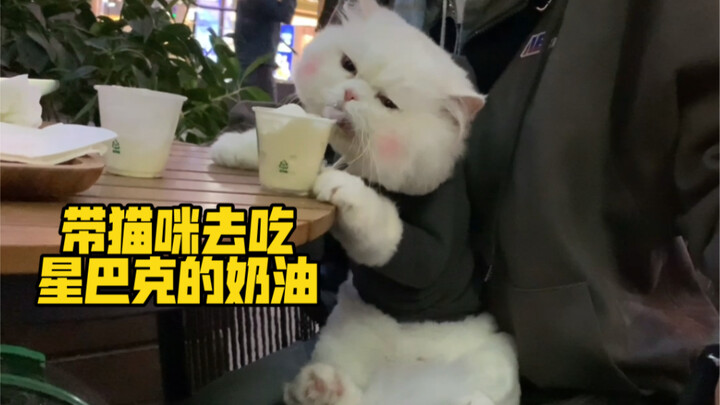 Taking Qiuqiu to Starbucks for the Creamy Treat