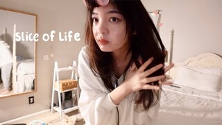 Slice of Life: Realistic Days of a Productive Uni Student, Cleaning, Study Vlog, Cooking Good Meals