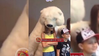 Cola's Big White Bear is 100 years old this year—who could possibly resist such an adorable bear tha