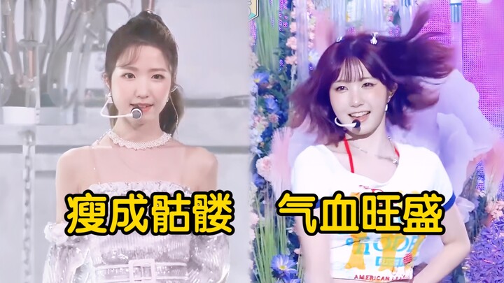 The Difference Between an Idol’s Extremely Thin Figure and a Healthy One