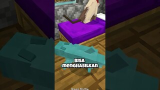 Sekarang Ada Kucing Laut Di Minecraft!