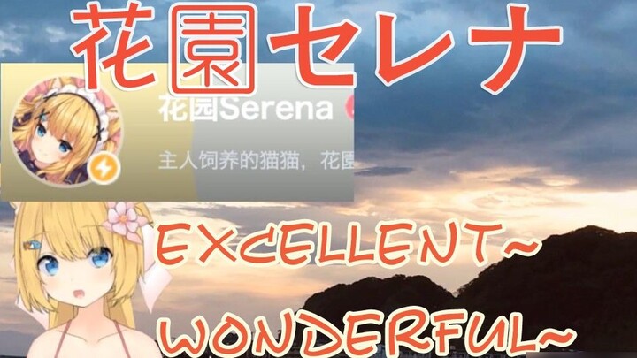 [Ready-made] The cat who showed off his English after getting the little lightning