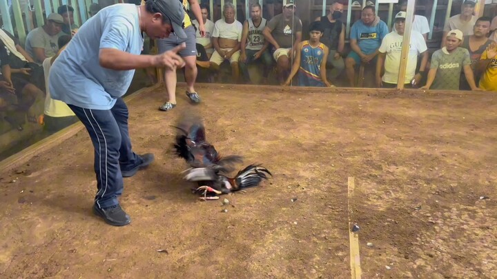 Champ 3Wins Balingoan Cockpit Arena (1st Fyt) Entry Name: J Sunga GameBird