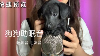 【声控助眠】狗狗触发音
