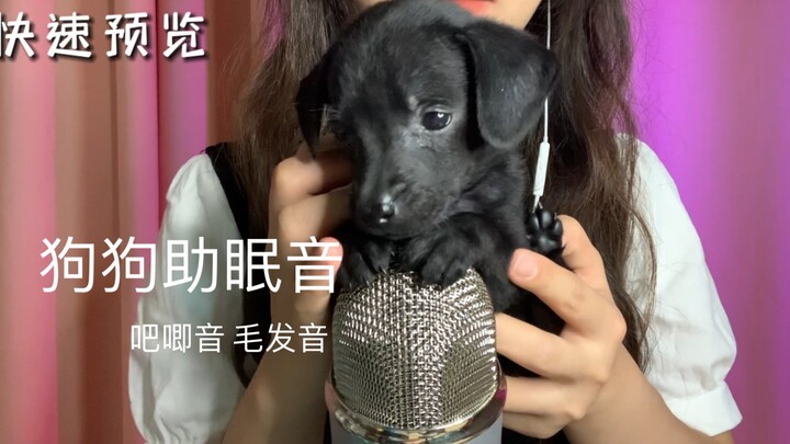 【声控助眠】狗狗触发音