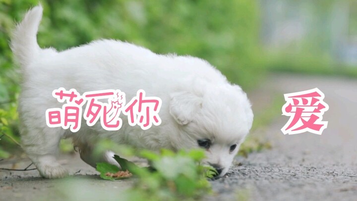 【เหล่าเฟิงหยาง】ช่วยผ่อนคลายอารมณ์ของคุณสักหน่อย