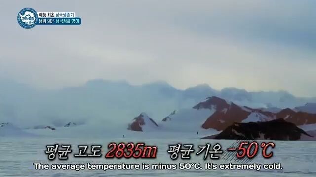 E312 Law of Jungle_Antartika