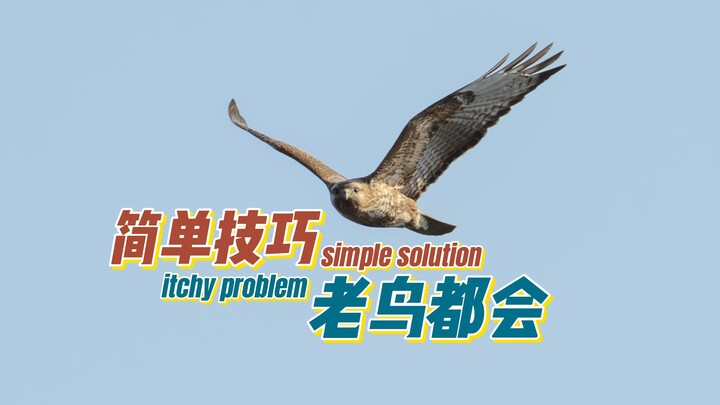 【Dành cho người mới】Những kỹ thuật đơn giản mà cao thủ nào cũng dùng, mau học ngay thôi~