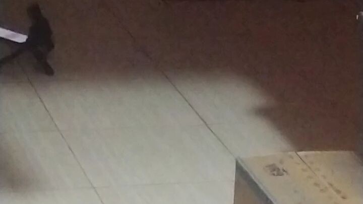 husst diam abng nya lagi tidur