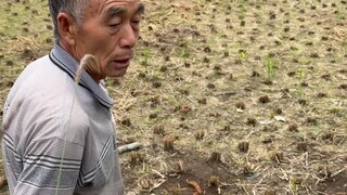 溶洞深处有黑水流淌，曾经的饮用水源也废了#金沙县#毕节