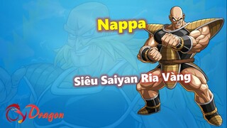 [Hồ sơ nhân vật]. Nappa - Siêu Saiyan Ria Vàng - Nguồn gốc và sức mạnh