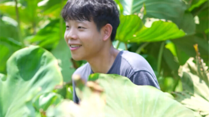 芋泥铜锣烧！真的超好吃！