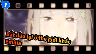 Bắt đầu lại ở thế giới khác
Emilia_1