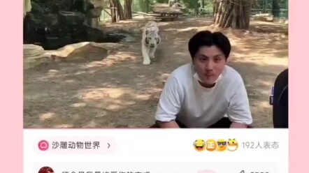 เสือ: ใครกันนะ! ถูกระจกสะอาดขนาดนี้ #พีพีฮาๆ #คอมเมนต์เจ๋งของพีพีฮาๆ