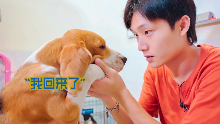 [Problem Dog Makeover] The Demon Lord’s Stubborn Tenant Is Back—How Long Will He Stay This Time?