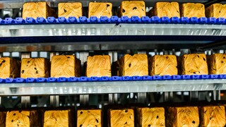 เปิดเผยเบื้องลึกโรงงานขนมปังโทสต์ของห่อหม่า! แล้วราคาถูกเพียง 11.9 หยวนของขนมปังโทสต์ที่เหมือนยกภูเข