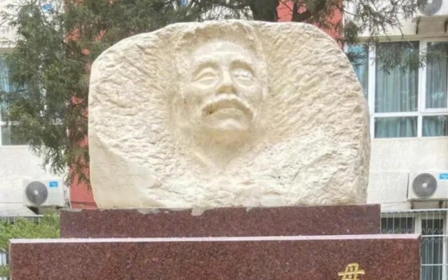 After a snowfall, Lu Xun turned into Voldemort.