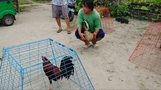 Pasanay sa ibang kulay