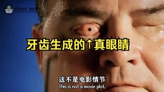 "An eye for a tooth" has become a reality❗️