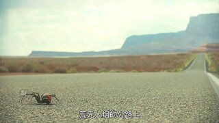 《荒野》正式上线，千万别惹这个女人！