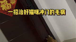一招教你治好猫咪开门往外冲的毛病！！