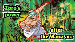 HAKI BÁ VƯƠNG - ENMA | SỨC MẠNH CỦA ZORO SAU ARC WANO!!!
