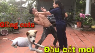 Đầu Cắt Moi, Săn Bắt Ẩm Thực Vùng Cao Cắt Đầu Moi Cho thú Cứng Của Vợ | Tường Vy Vlog