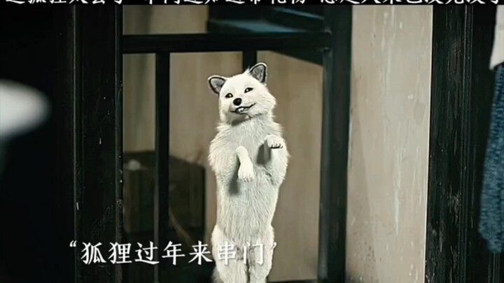 Have you ever met a fox spirit this good at snapping back? | “Wu Xin: The Monster Killer 2”
