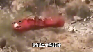 Bà già: Cất cánh đi.