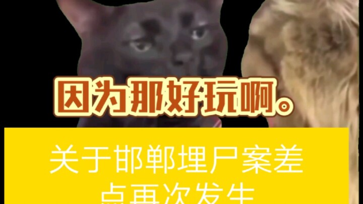 [ميم القط] ماذا؟ قضية دفن الجثث في هاندان كادت تحدث لي! (كابوس الحرم الجامعي ⑤)