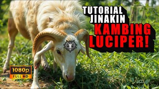 BEGINILAH CARA MENJINAKAN KAMBING YANG KERASUKAN LUCIPER !