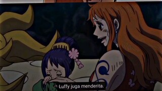 otama mengetahui rasa sakitnya luffy saat kehilangan ace