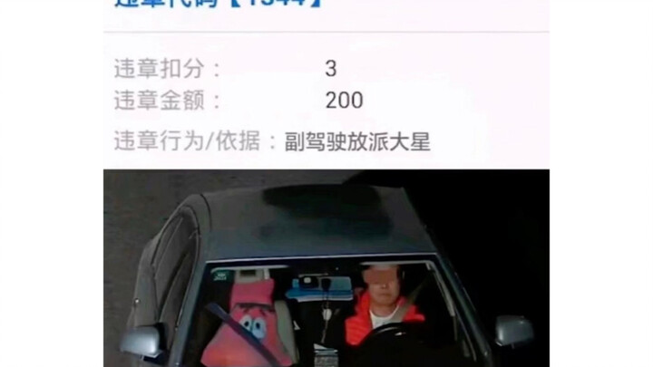 Is the co-pilot Patrick Star breaking the law? qwq