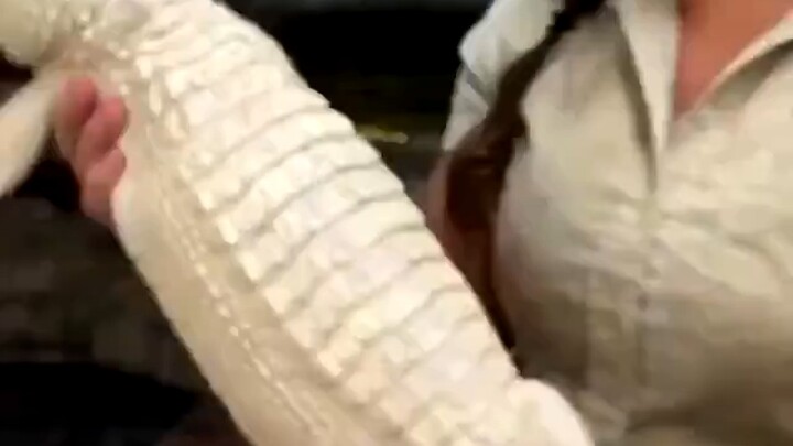 لم أرَه ممتعًا هكذا من قبل أبدًا