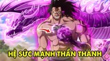 Trái Ác Quỷ Thần Thánh - Top 10 DF Mang Nhiều Năng Lực Nhất One Piece