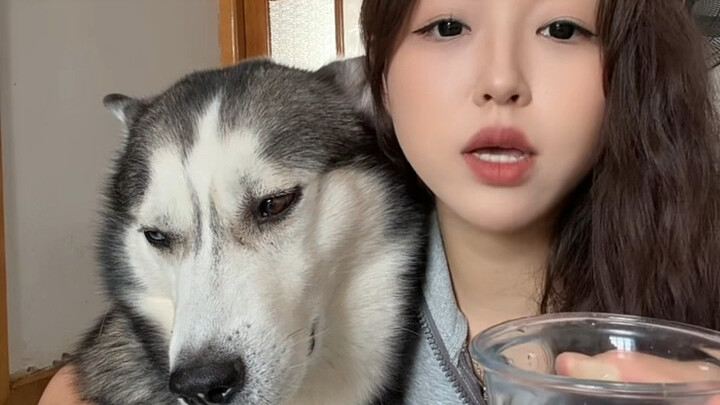 Kisah-kisah pahlawan semuanya berkat memelihara 8K, hahaha hahaha