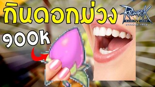 ROM | ยาปั้มที่แพงที่สุดในโลก??