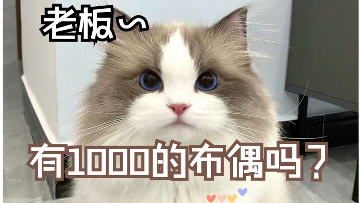 我们保证所有客户，开开心心来，快快乐乐走。